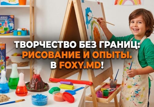 Творчество в Кишиневе: Как вырастить Да Винчи и сохранить обои чистыми? Метод Foxy.md