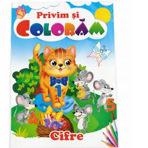 Первые знания_370 картинок 75648