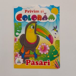 Смотрим и раскрашиваем - Птицы 61301