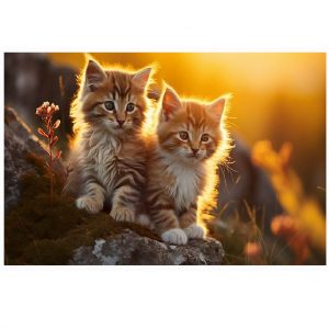 Набор для рисования по номерам Кошки (20*30) 74463