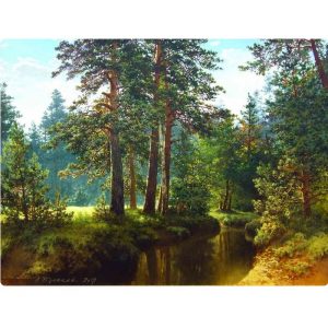 Бриллиантовая мозаика «Лес» (50*65) 62012