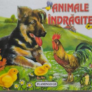 ANIMALE INDRAGITE 73900